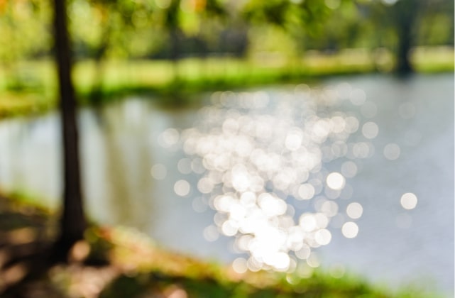 Serene lake scene background with sparkling water reflections and surrounding green trees